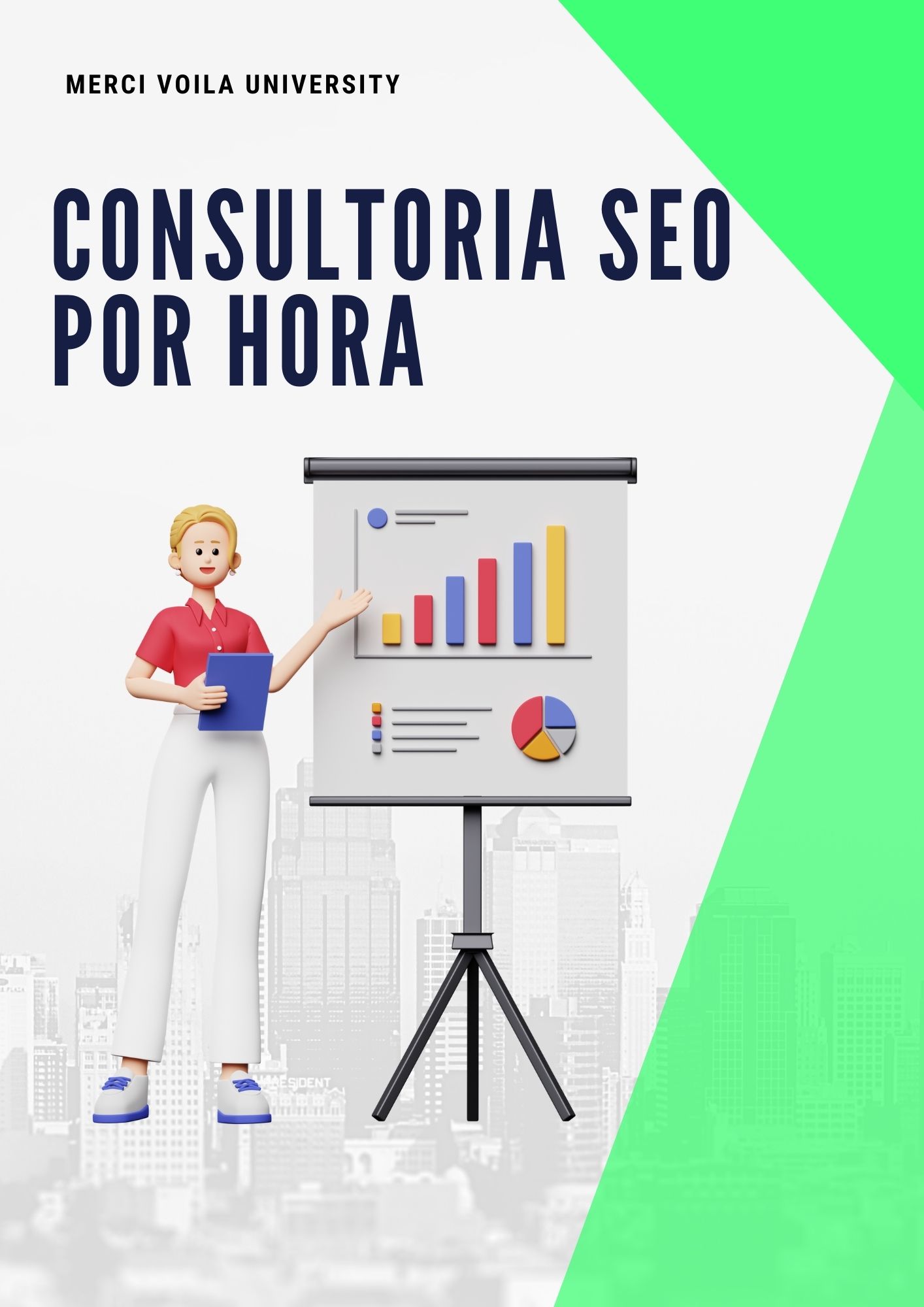 Consultoría SEO por hora