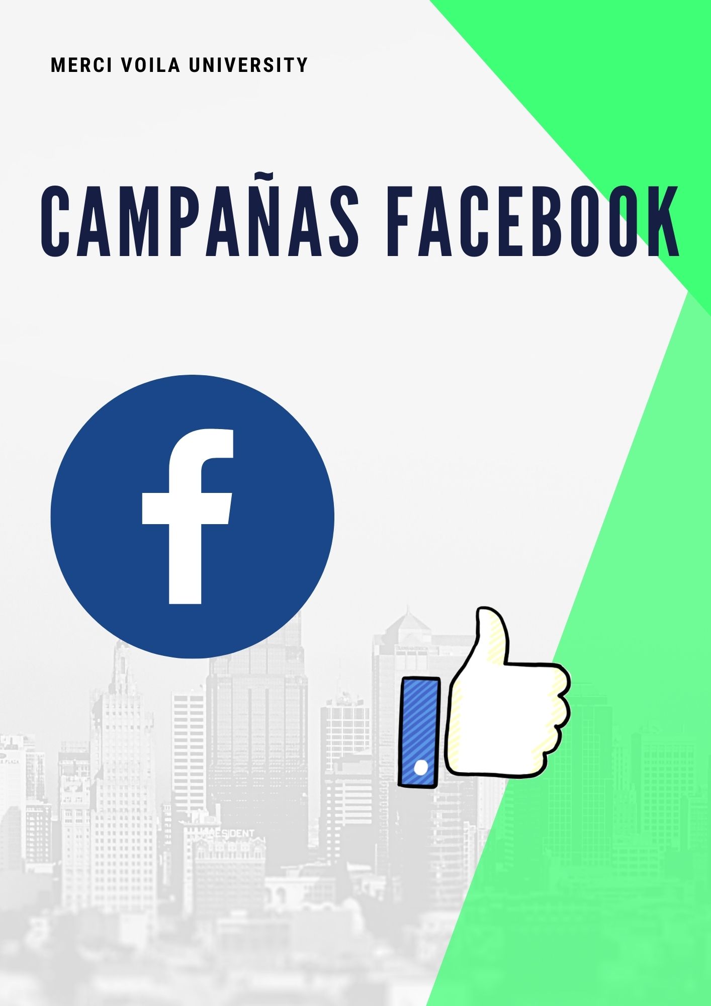 Campañas de Facebook Ads